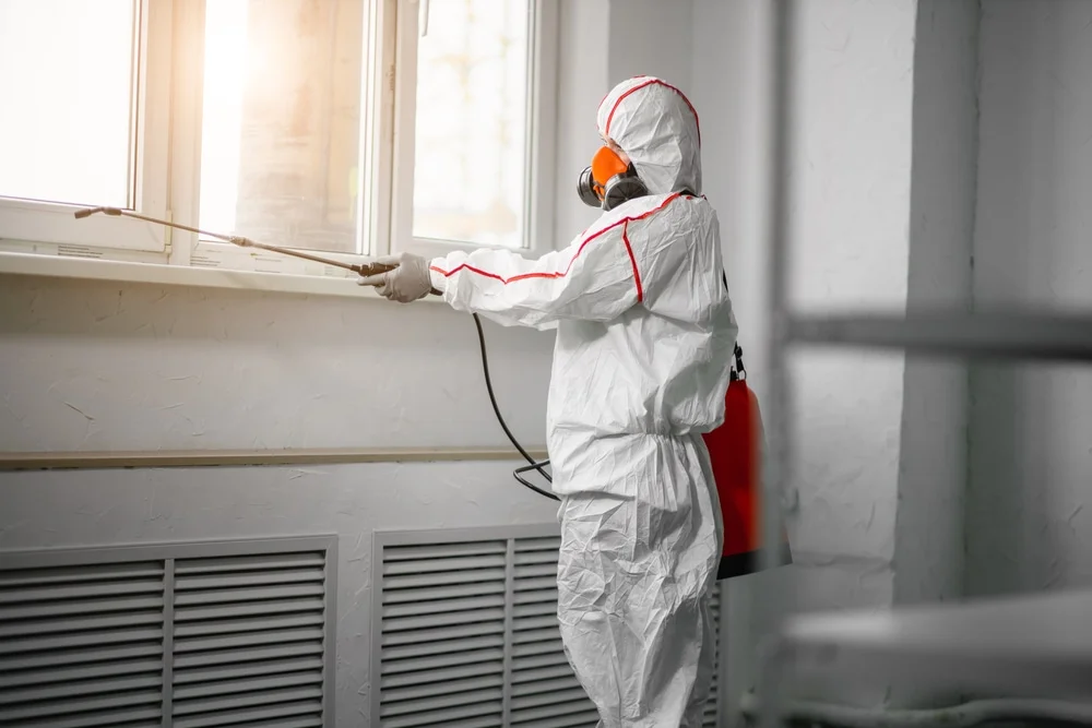Professional mold remediation services in Lakewood, NM